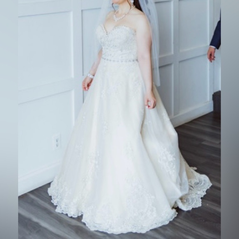 Maggie Sottero Reba 7MS335 in a size 14